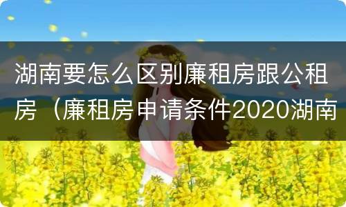 湖南要怎么区别廉租房跟公租房（廉租房申请条件2020湖南）