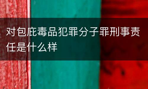 对包庇毒品犯罪分子罪刑事责任是什么样