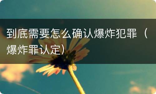到底需要怎么确认爆炸犯罪（爆炸罪认定）