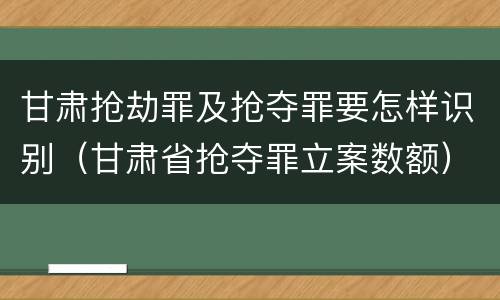甘肃抢劫罪及抢夺罪要怎样识别（甘肃省抢夺罪立案数额）