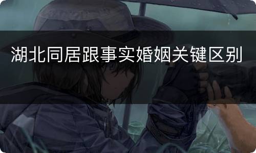 湖北同居跟事实婚姻关键区别