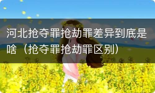 河北抢夺罪抢劫罪差异到底是啥（抢夺罪抢劫罪区别）