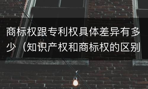商标权跟专利权具体差异有多少（知识产权和商标权的区别）