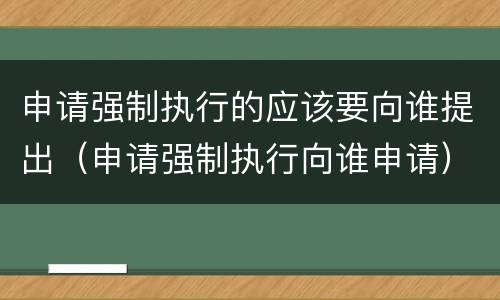 申请强制执行的应该要向谁提出（申请强制执行向谁申请）