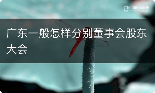 广东一般怎样分别董事会股东大会