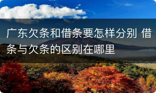 广东欠条和借条要怎样分别 借条与欠条的区别在哪里