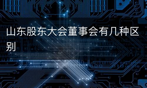 山东股东大会董事会有几种区别