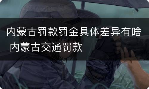 内蒙古罚款罚金具体差异有啥 内蒙古交通罚款