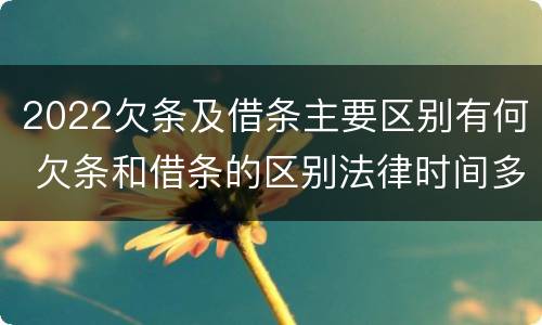 2022欠条及借条主要区别有何 欠条和借条的区别法律时间多少年