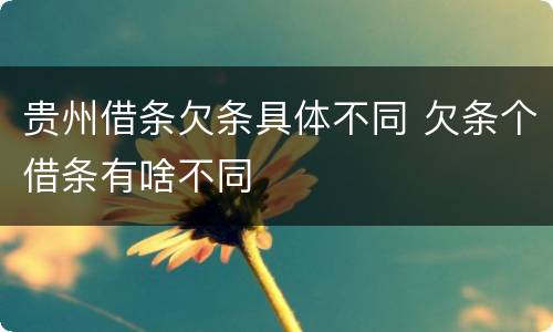 贵州借条欠条具体不同 欠条个借条有啥不同