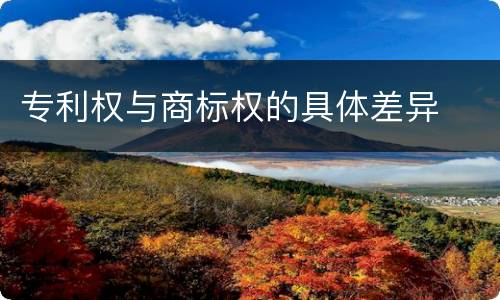 专利权与商标权的具体差异