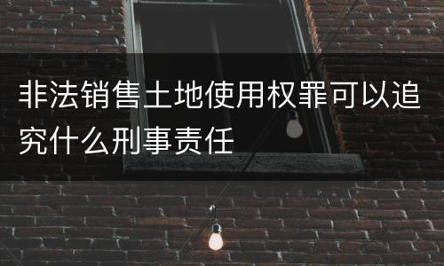 非法销售土地使用权罪可以追究什么刑事责任