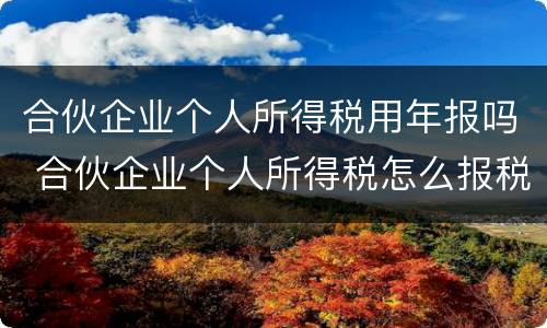 合伙企业个人所得税用年报吗 合伙企业个人所得税怎么报税