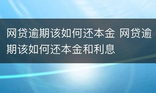 网贷逾期该如何还本金 网贷逾期该如何还本金和利息