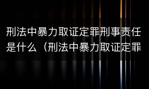 刑法中暴力取证定罪刑事责任是什么（刑法中暴力取证定罪刑事责任是什么）