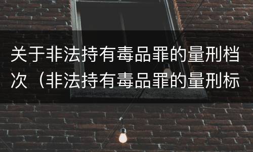 关于非法持有毒品罪的量刑档次（非法持有毒品罪的量刑标准）