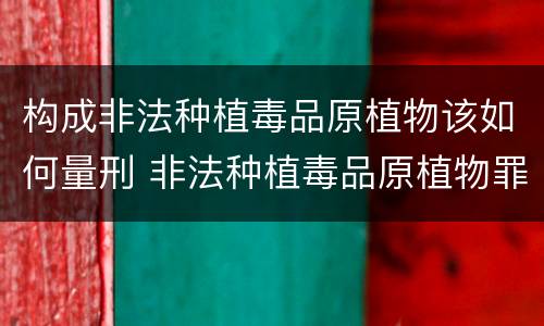 构成非法种植毒品原植物该如何量刑 非法种植毒品原植物罪情节严重的三种情形