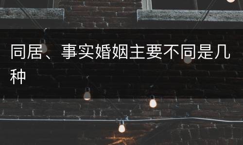 同居、事实婚姻主要不同是几种