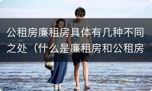 公租房廉租房具体有几种不同之处（什么是廉租房和公租房两个有什么特点）