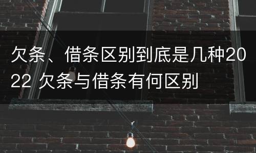 欠条、借条区别到底是几种2022 欠条与借条有何区别