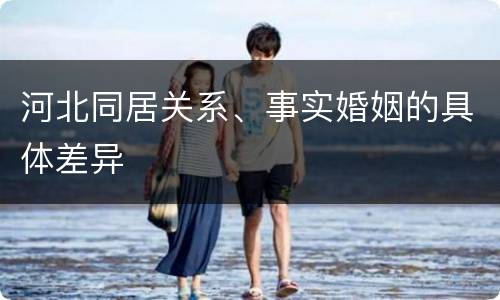 河北同居关系、事实婚姻的具体差异