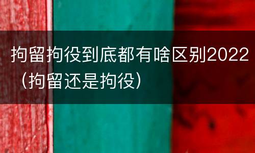 拘留拘役到底都有啥区别2022（拘留还是拘役）