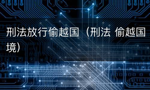 刑法放行偷越国（刑法 偷越国境）