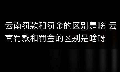 云南罚款和罚金的区别是啥 云南罚款和罚金的区别是啥呀