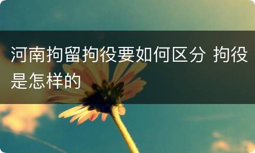 河南拘留拘役要如何区分 拘役是怎样的