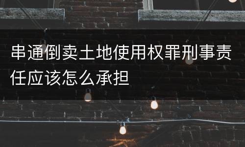 串通倒卖土地使用权罪刑事责任应该怎么承担