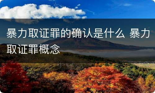 暴力取证罪的确认是什么 暴力取证罪概念