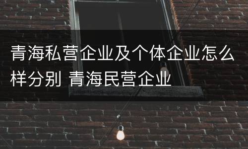 青海私营企业及个体企业怎么样分别 青海民营企业