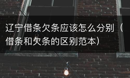 辽宁借条欠条应该怎么分别（借条和欠条的区别范本）
