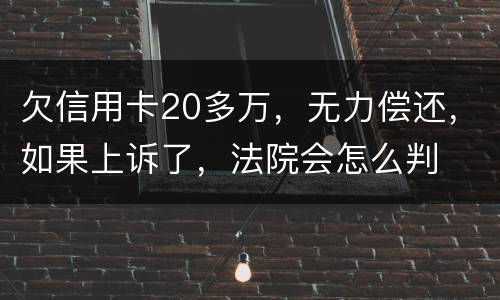欠信用卡20多万，无力偿还，如果上诉了，法院会怎么判