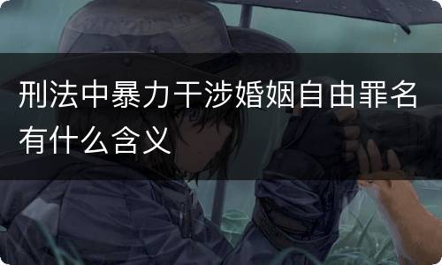 刑法中暴力干涉婚姻自由罪名有什么含义