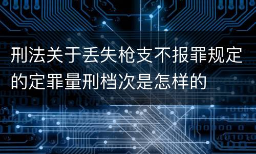 刑法关于丢失枪支不报罪规定的定罪量刑档次是怎样的