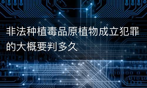 非法种植毒品原植物成立犯罪的大概要判多久