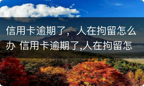信用卡逾期了，人在拘留怎么办 信用卡逾期了,人在拘留怎么办呢