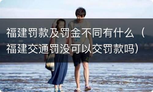 福建罚款及罚金不同有什么（福建交通罚没可以交罚款吗）