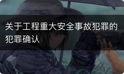 关于工程重大安全事故犯罪的犯罪确认