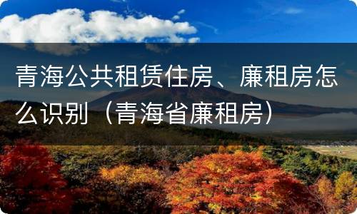 青海公共租赁住房、廉租房怎么识别（青海省廉租房）
