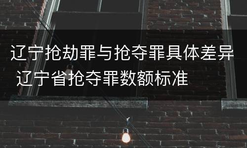 辽宁抢劫罪与抢夺罪具体差异 辽宁省抢夺罪数额标准