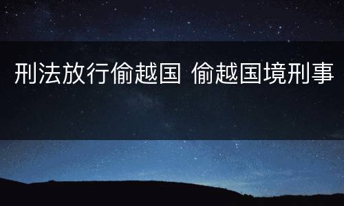 刑法放行偷越国 偷越国境刑事