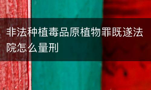 非法种植毒品原植物罪既遂法院怎么量刑