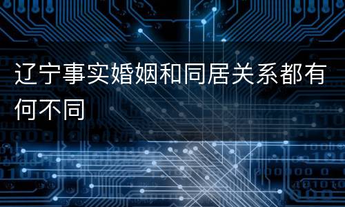 辽宁事实婚姻和同居关系都有何不同