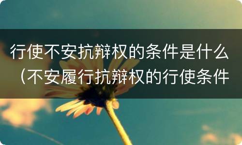 行使不安抗辩权的条件是什么（不安履行抗辩权的行使条件）