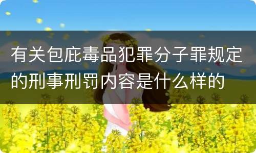 有关包庇毒品犯罪分子罪规定的刑事刑罚内容是什么样的