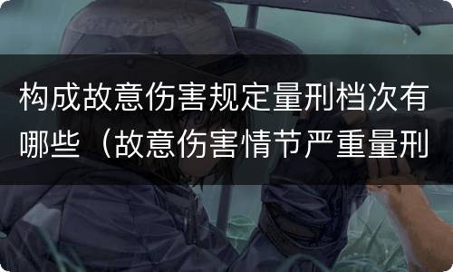 构成故意伤害规定量刑档次有哪些（故意伤害情节严重量刑标准）