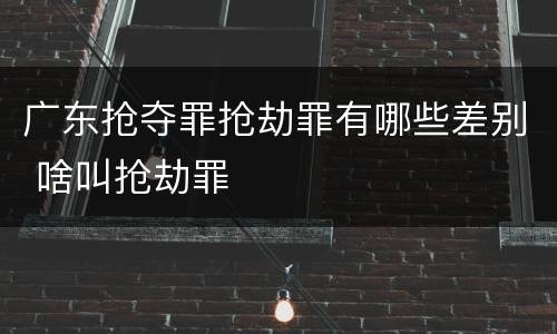 广东抢夺罪抢劫罪有哪些差别 啥叫抢劫罪