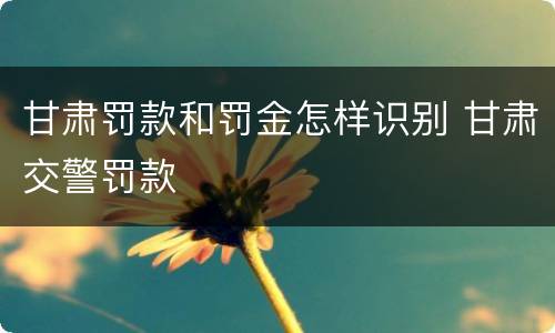 甘肃罚款和罚金怎样识别 甘肃交警罚款